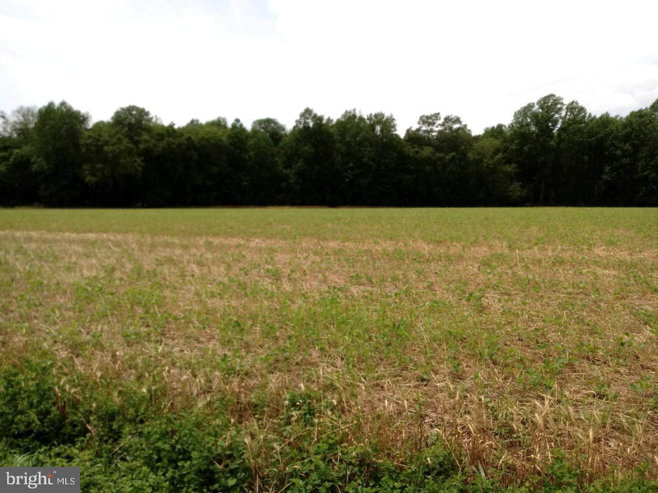 4025 Hawkeye Road - Photo 1