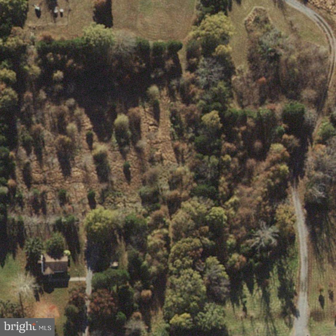 Midland Road - Photo 1