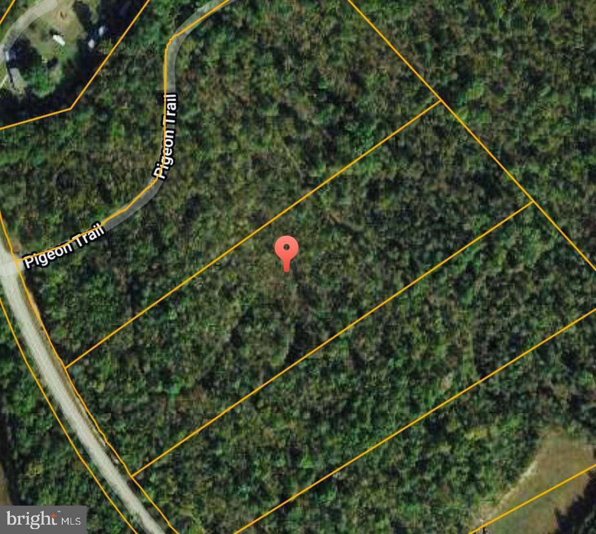 6841 Lawyers Road - Photo 1