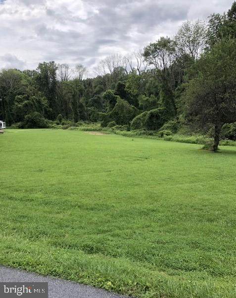 Lot 21 Wild Forest Drive - Photo 1
