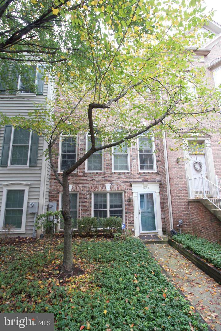 6003 Ricketts Walk - Photo 1