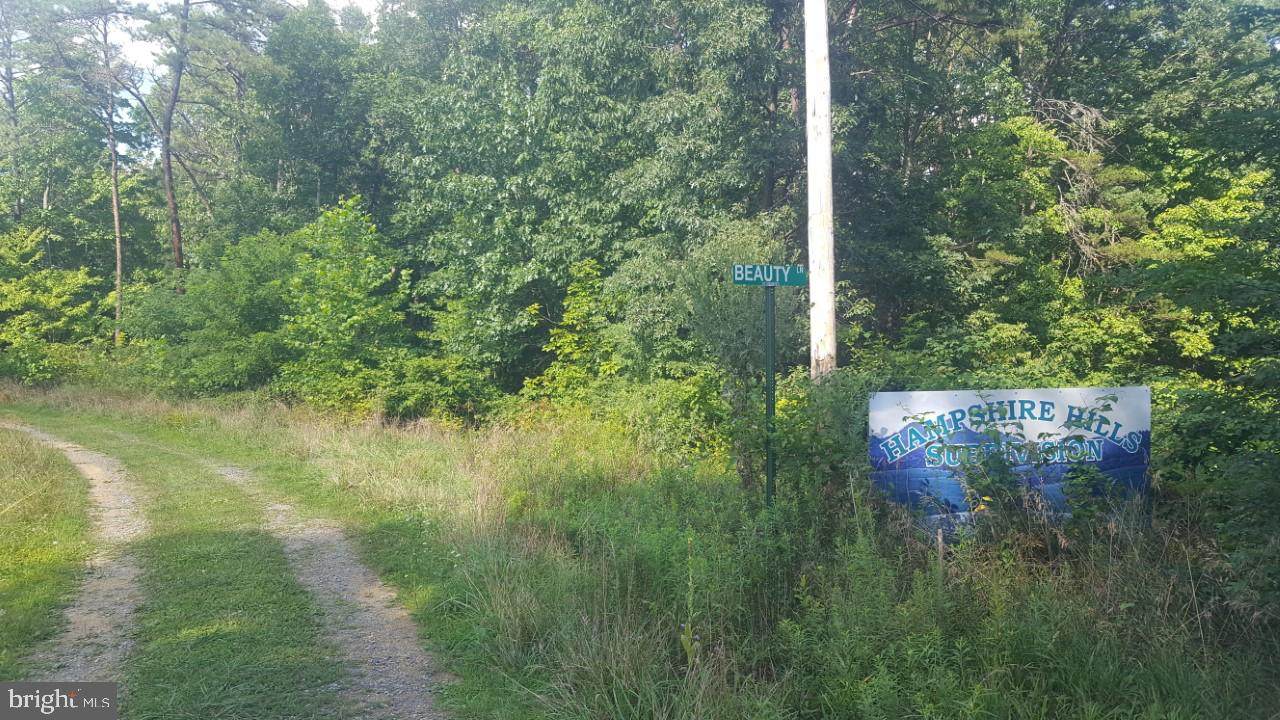 Mccauley Drive/Wills Way Lane - Photo 1