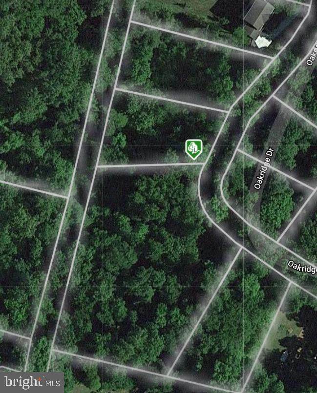 Lot 21 Locust Drive - Photo 1