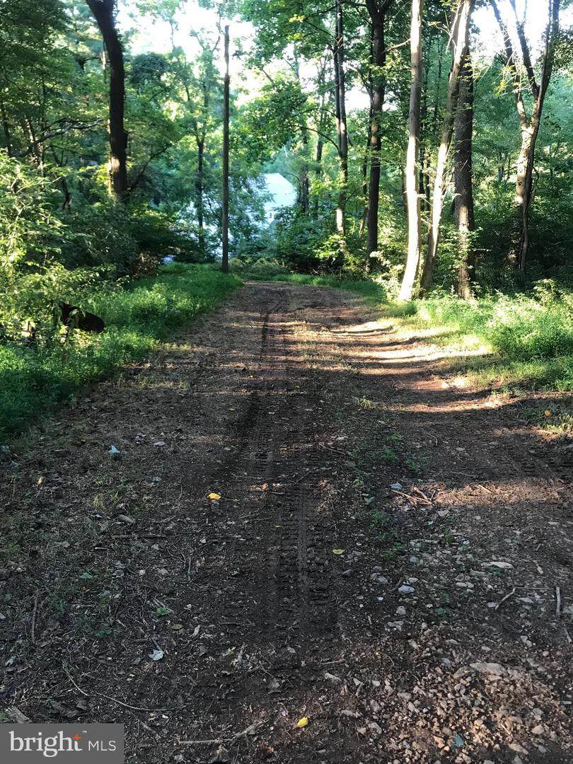 Sams Creek - Lot 1 Road - Photo 1