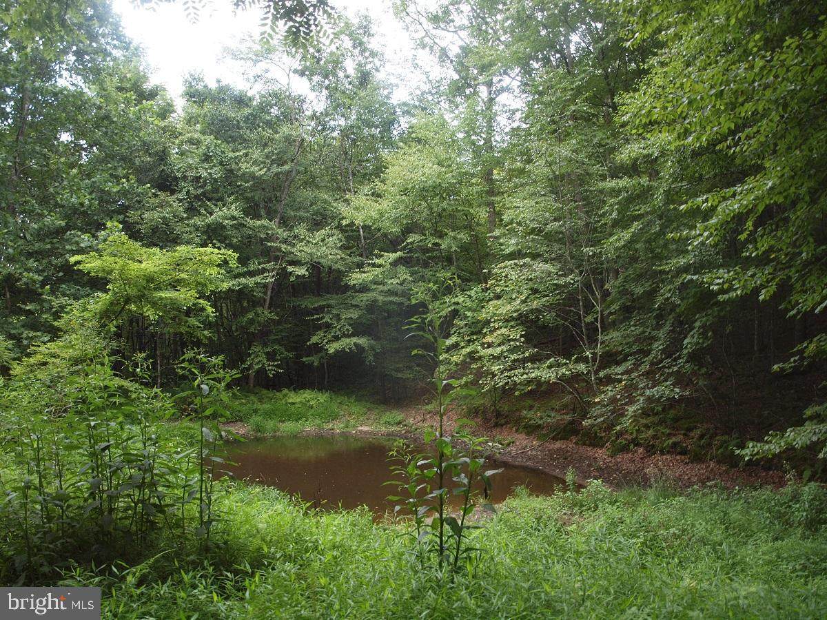 Off Pitsenbarger Rd. - Photo 1