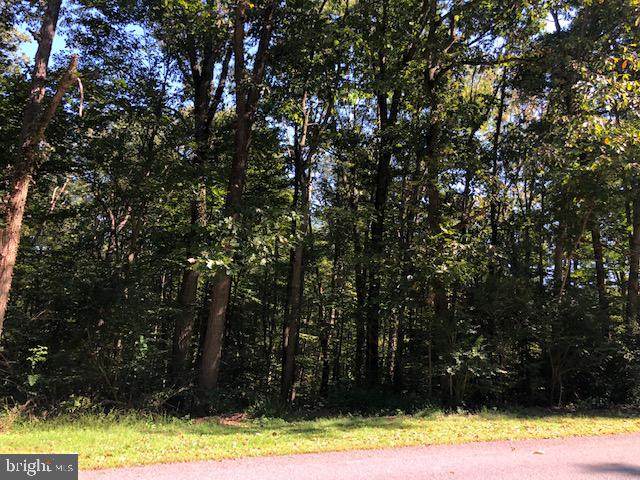 Laurel Ridge Road - Photo 1