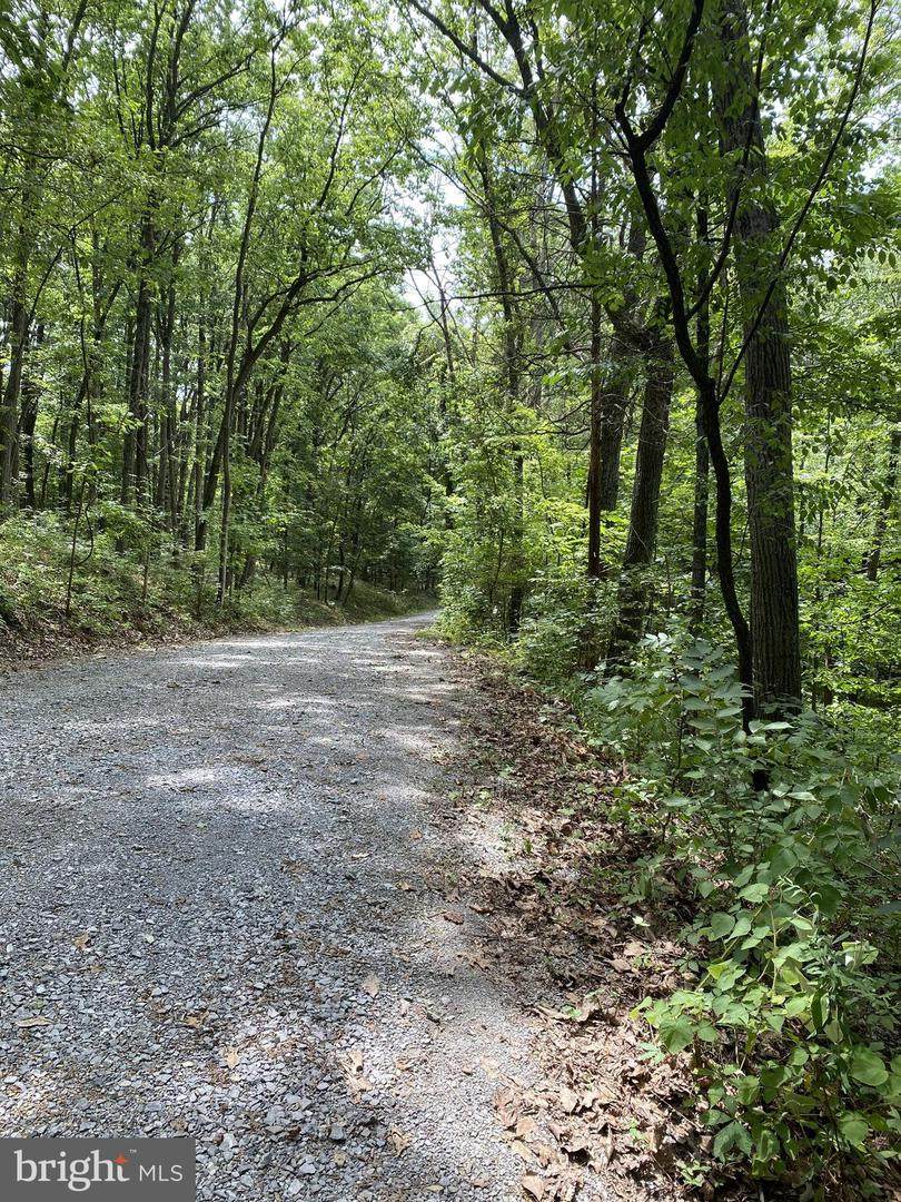 Lot #12 Big Bend Way - Photo 1