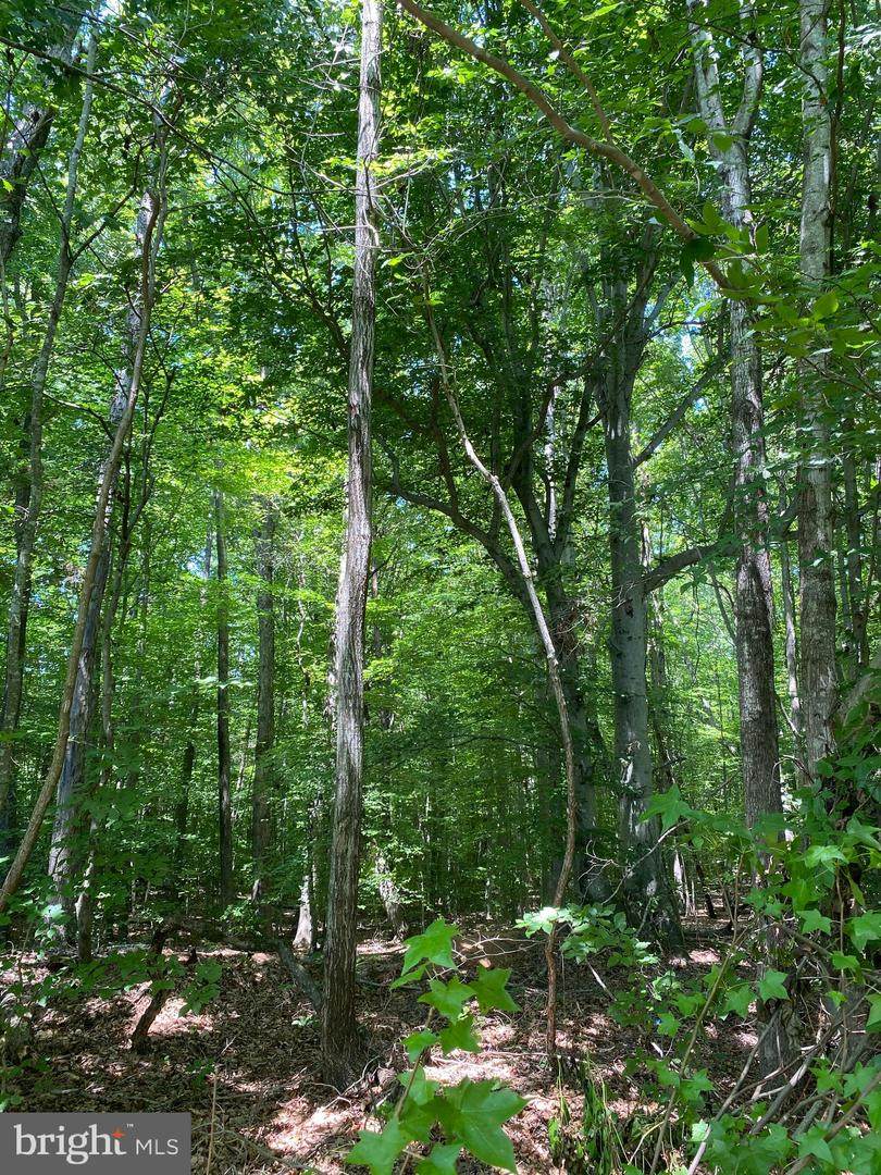Gun Barrel Road - Photo 1