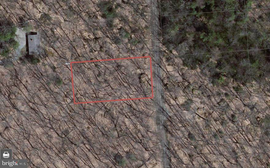 Lot 46 Cedar Lane - Photo 1