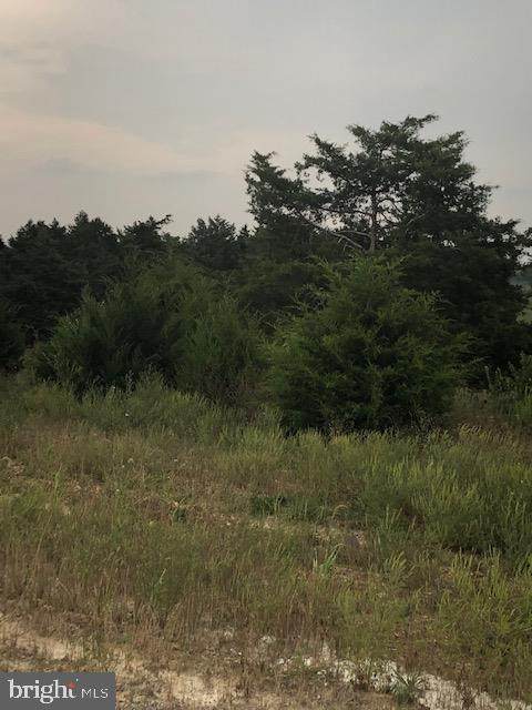 135-144 Emilys - Photo 1