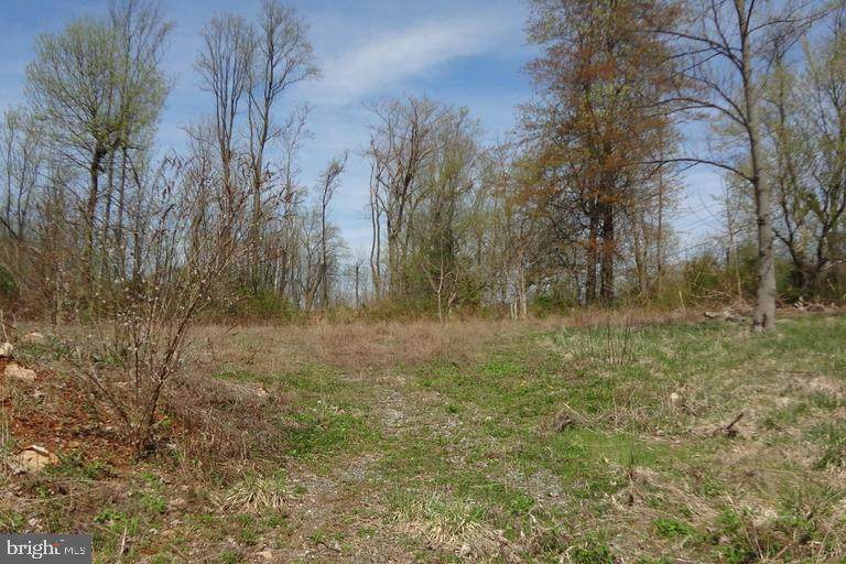 19600 Peach Tree Road - Photo 1