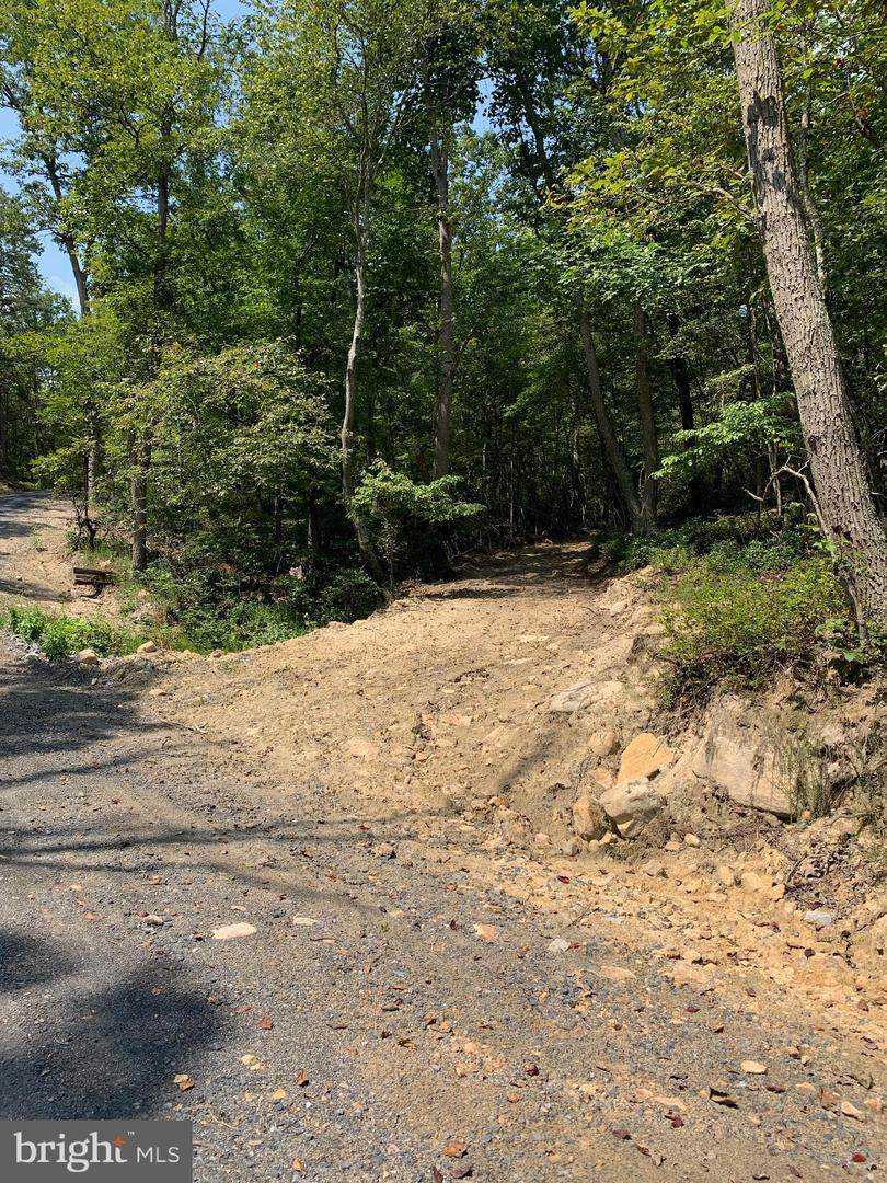 Lot 14 Brush Bottom Ln - Photo 1
