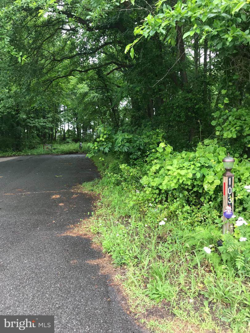 0 Union Mill Road - Photo 1