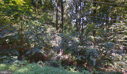 1 Raven Trail - Photo 1