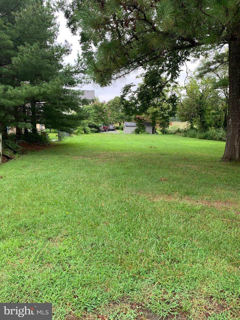 20676 Wilkins Avenue - Photo 1
