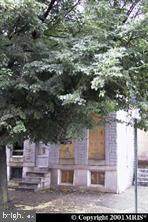 1209 Oliver Street - Photo 1