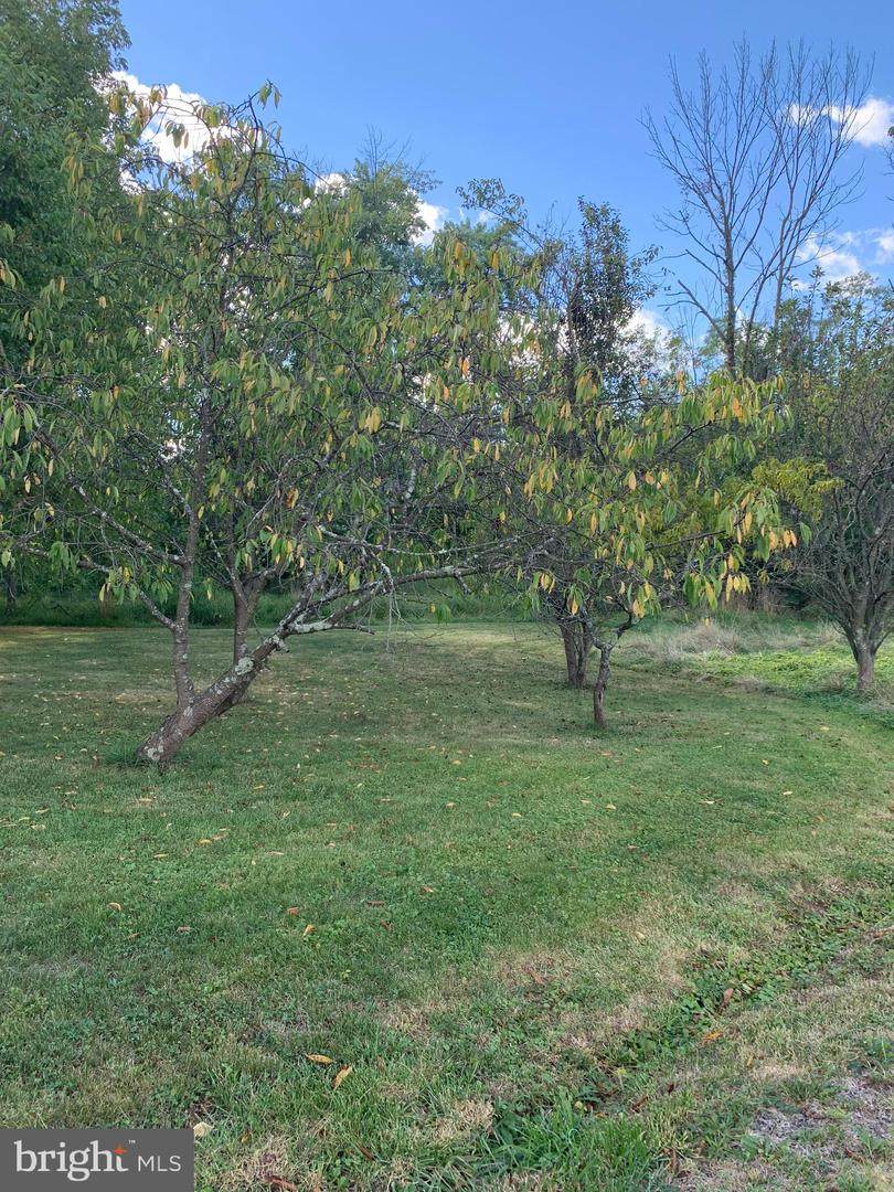 14 Northern Pike Trail - Photo 1
