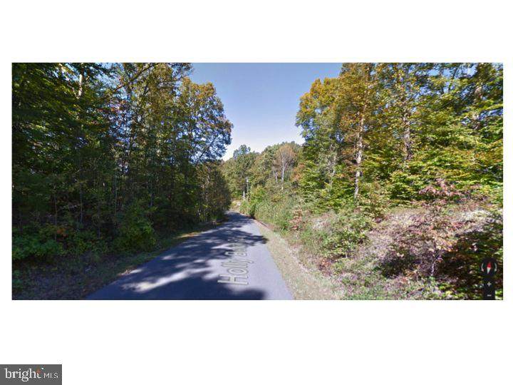 0 Holly Berry Road - Photo 1