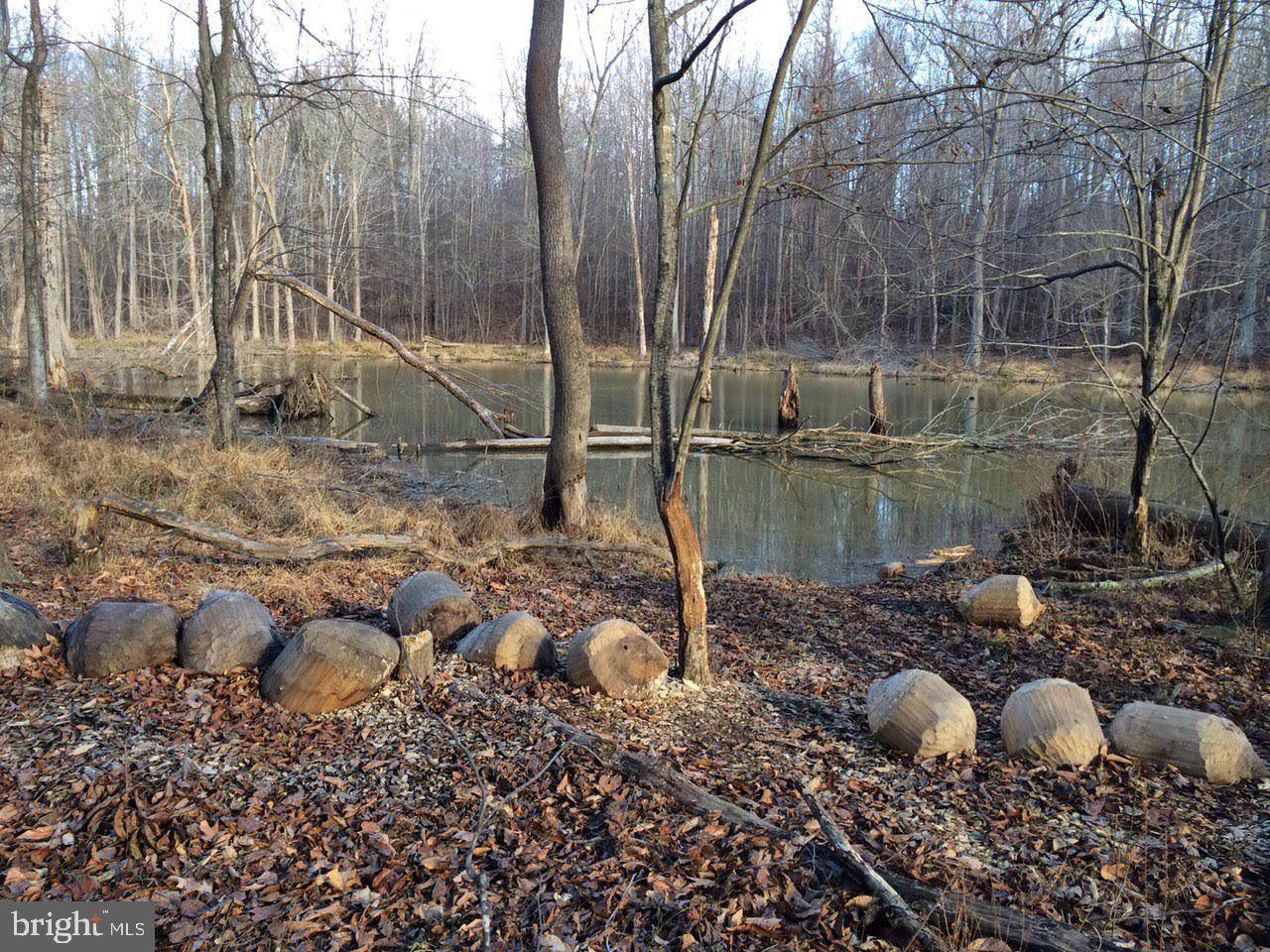 1235 Claggett Road - Photo 1