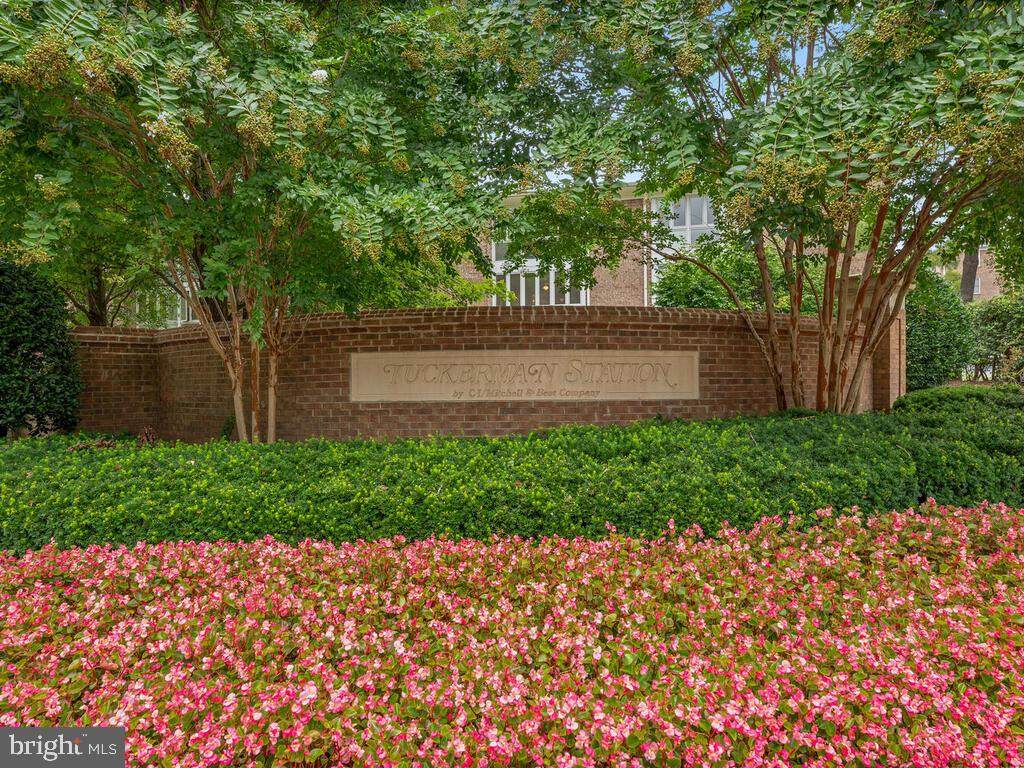 10703 Kings Riding Way - Photo 1