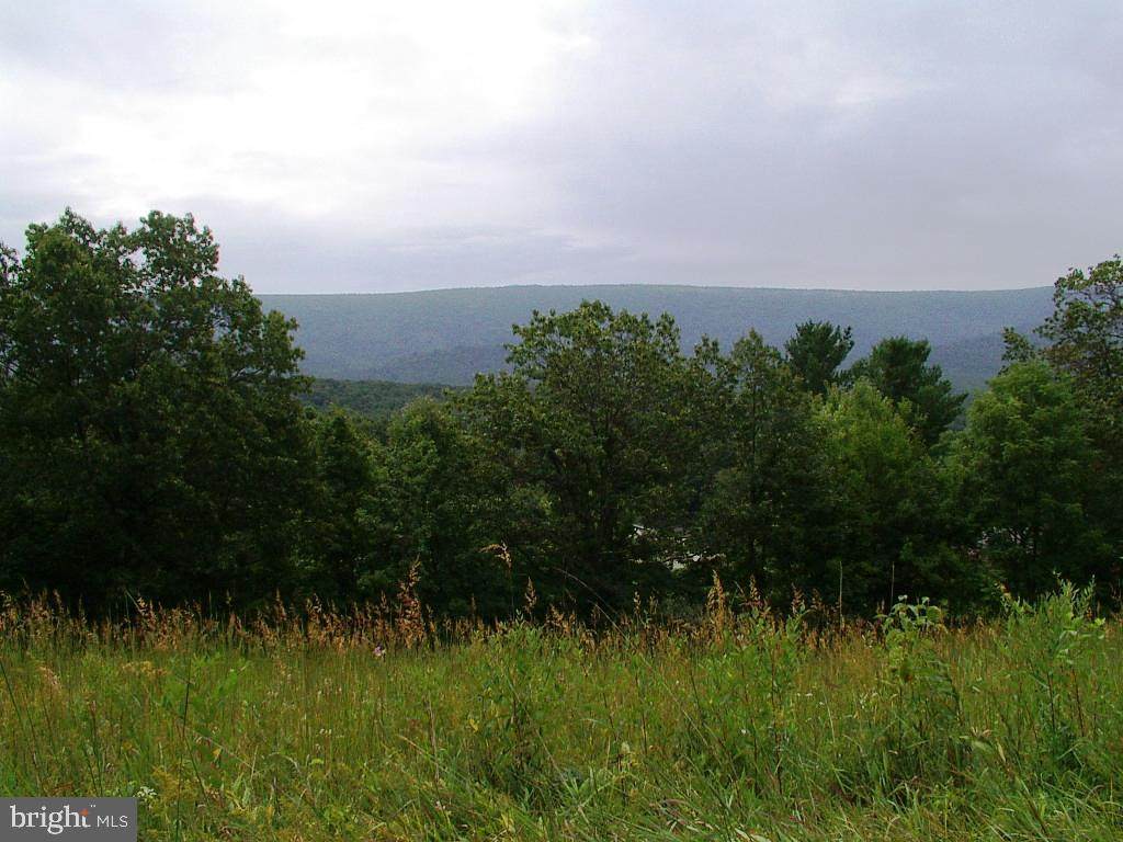 141 Back Creek Road - Photo 1