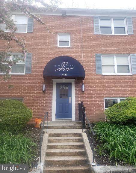 4407 Falls Bridge Drive - Photo 1