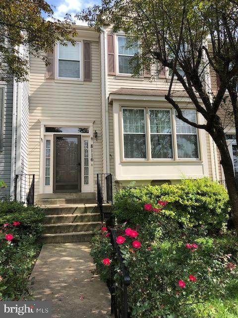 8116 Chelaberry Court - Photo 1