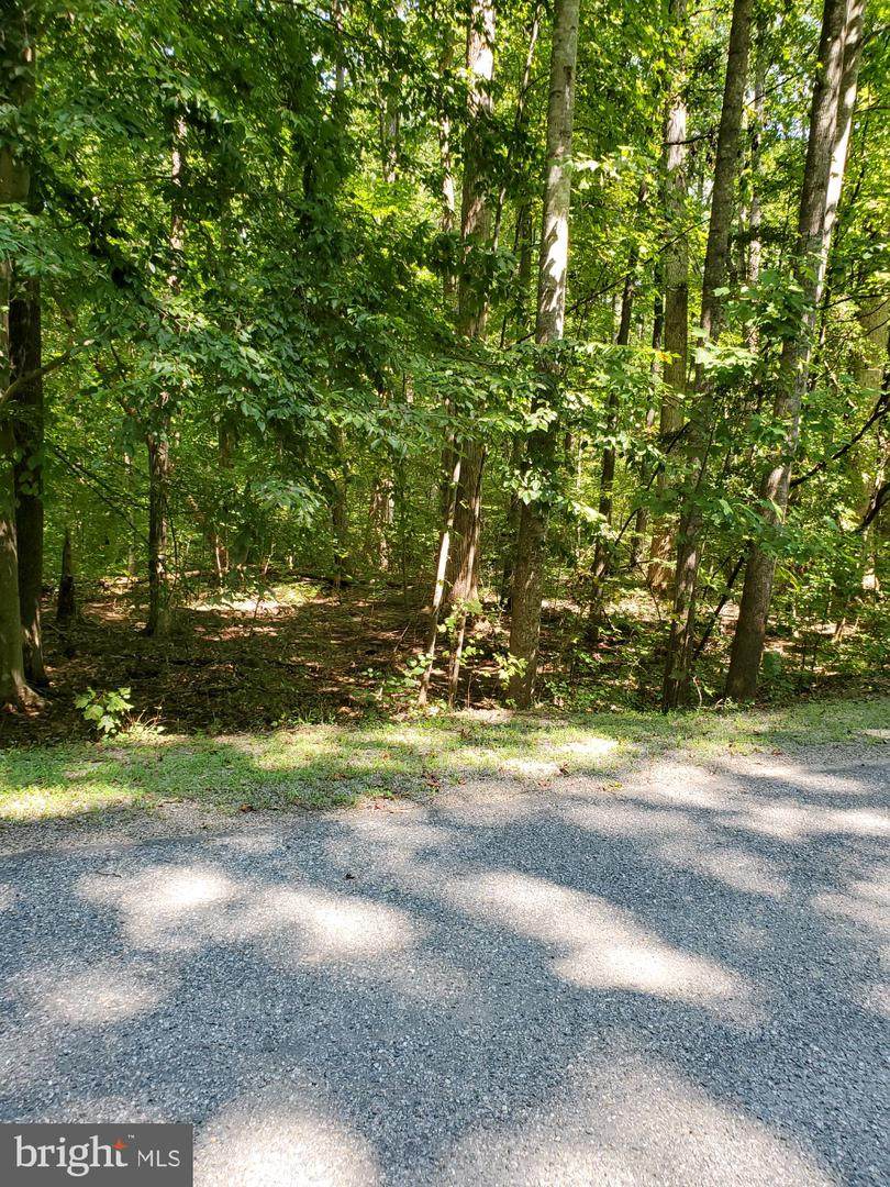 11519 Red Rock Lane - Photo 1