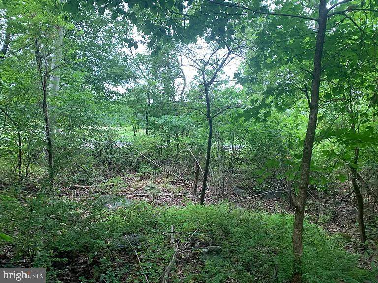 Lot 126 Center Hill Road - Photo 1