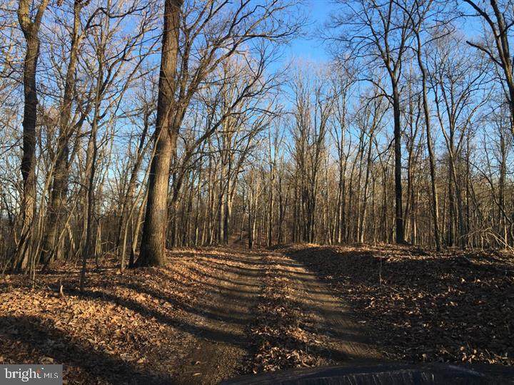 Cherry Bottom Lane - Photo 1