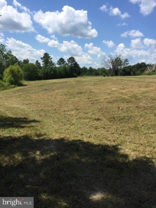 0 Grace Stone Drive - Photo 1