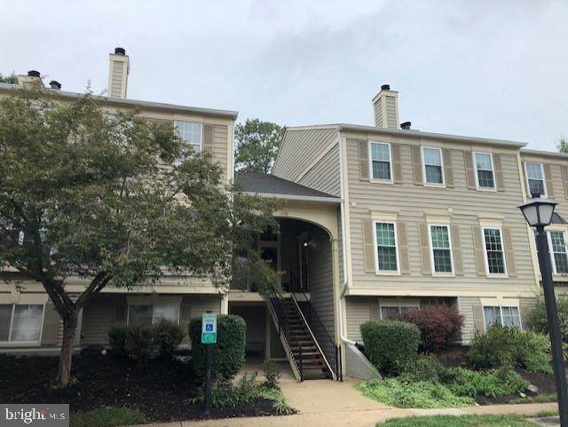 11196 Rienzi Place - Photo 1