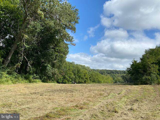 0 Toad Valley Road - Photo 1