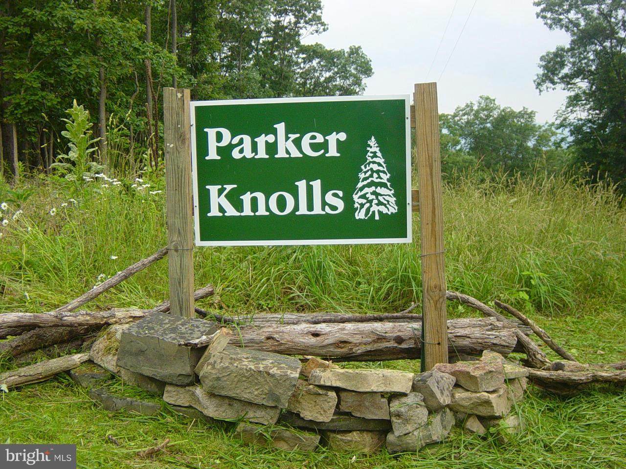 Four Parker Knolls Road - Photo 1