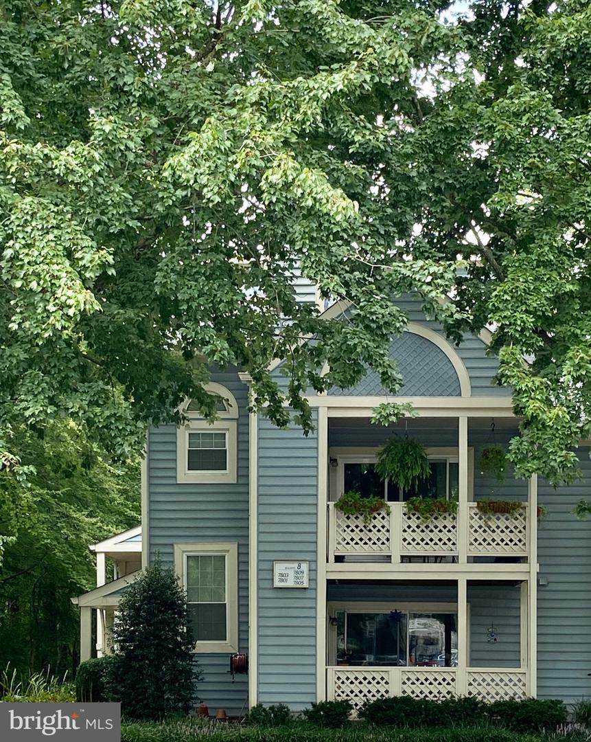 7805 Willow Point Drive - Photo 1