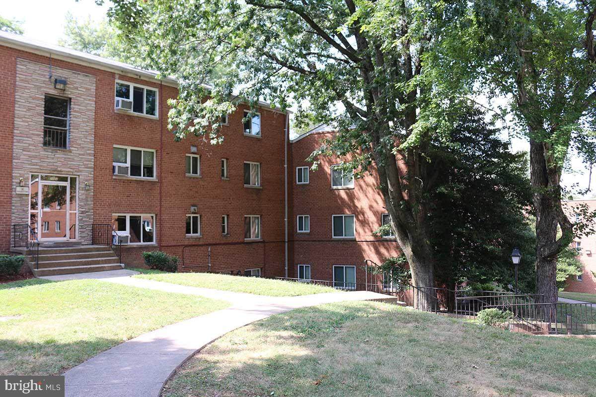 2009 Daniel Street - Photo 1