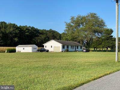 10728 Griffin Road - Photo 1