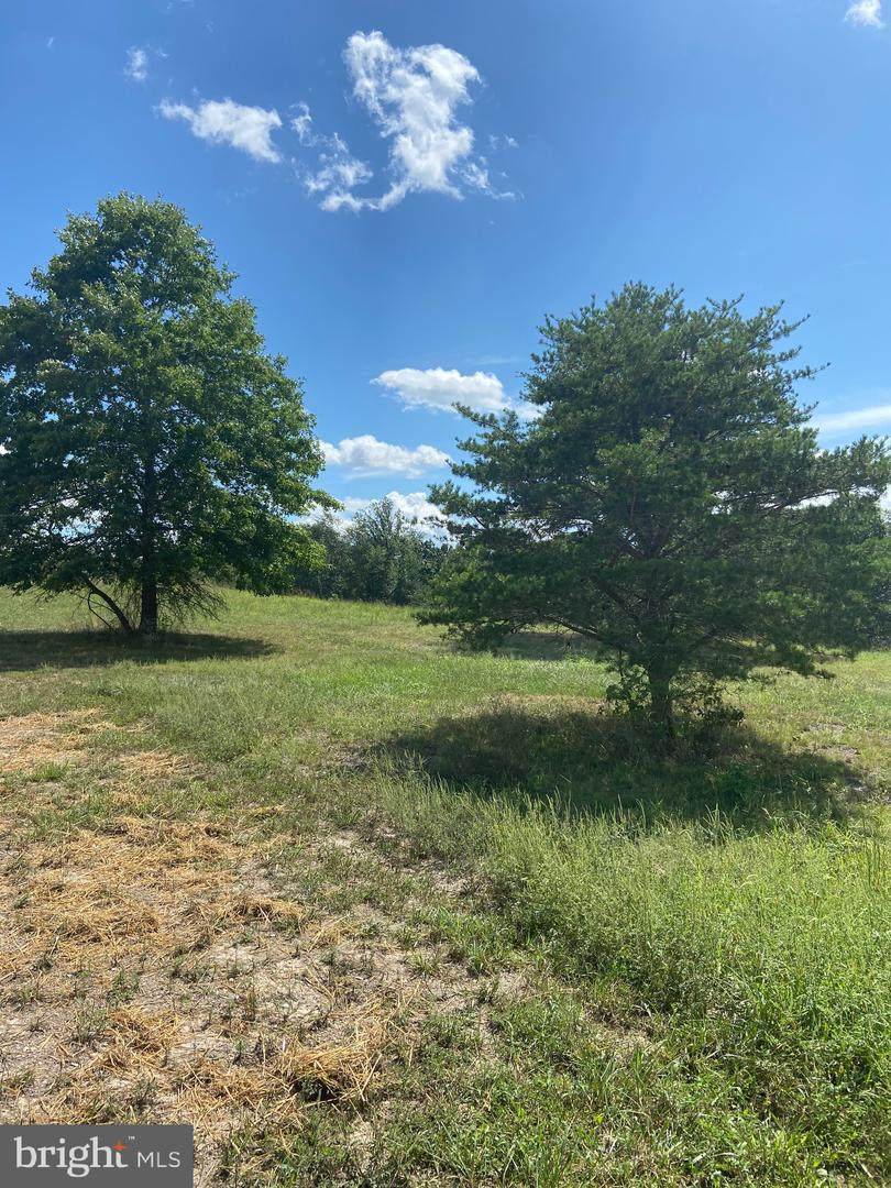 331 Max Road - Photo 1