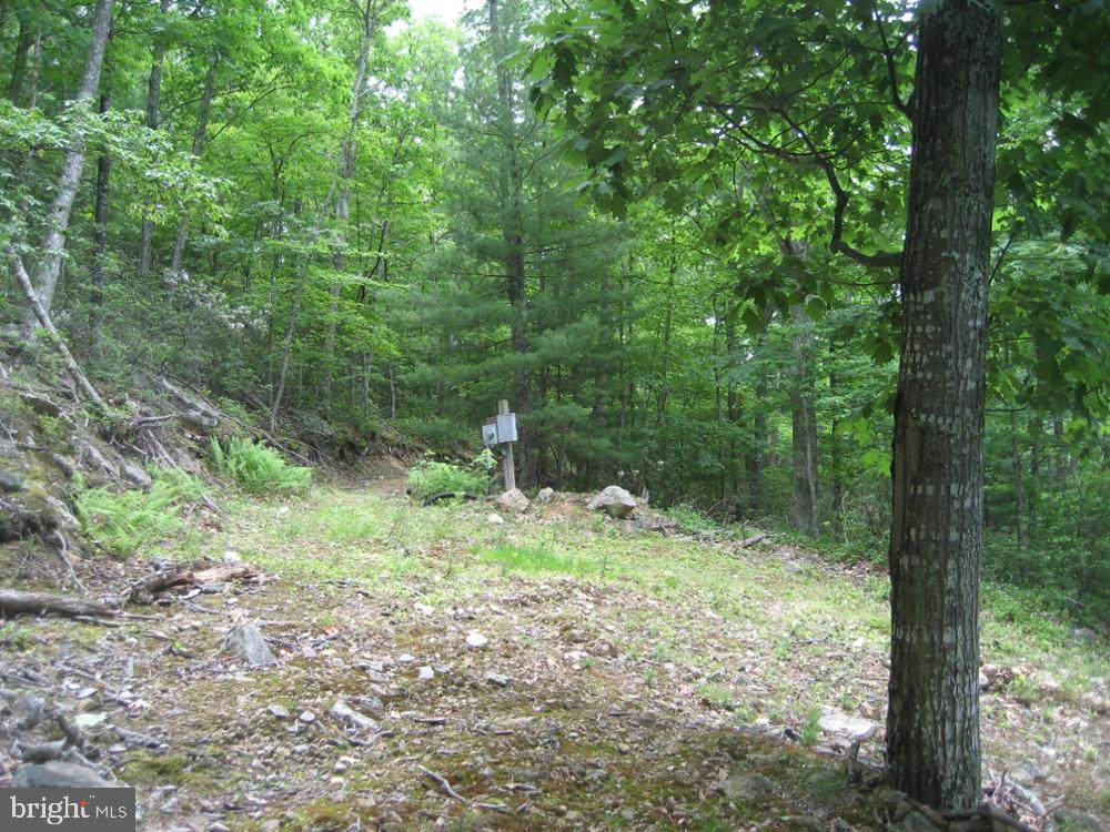7.44 ACRE LOT IN BUCK RIDGES - Photo 1