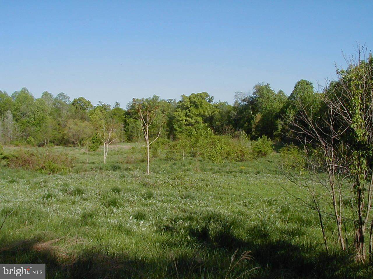 11312 Cross Road Trail - Photo 1