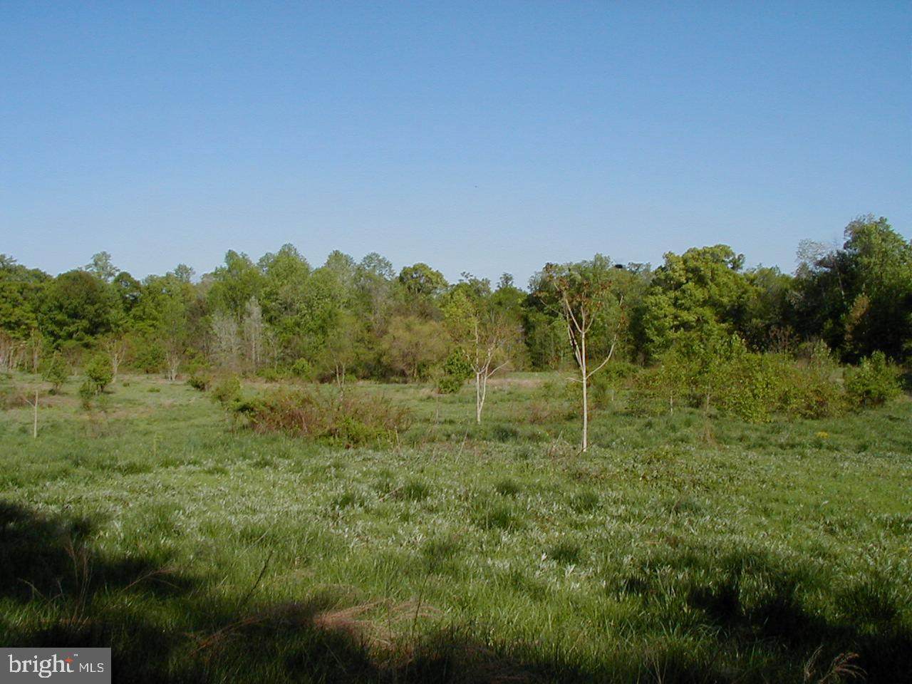 11316 Cross Road Trail - Photo 1