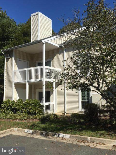 12064 Cardamom Drive - Photo 1