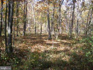 Shadyside Lane, Elk Garden, Wv - Photo 1