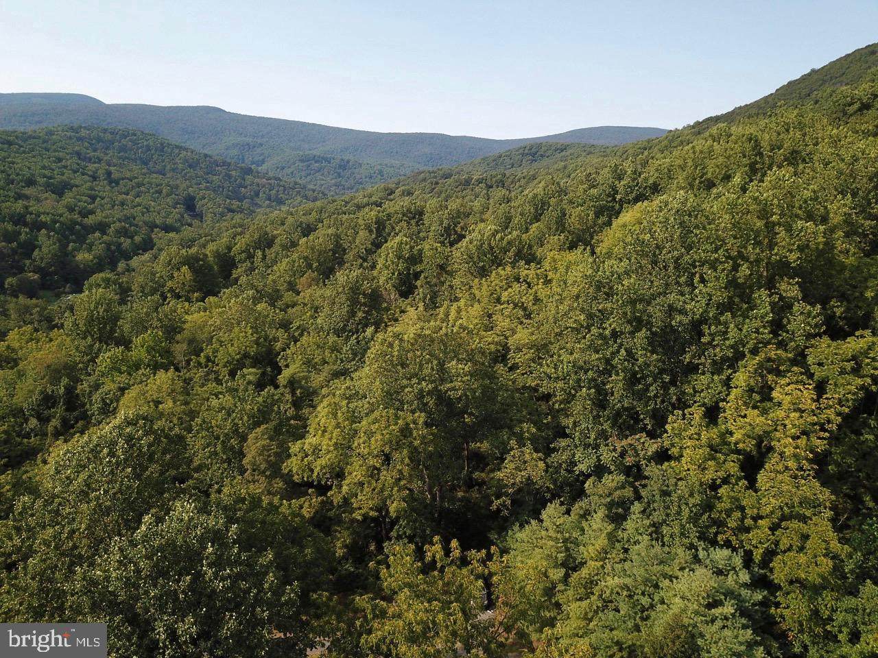 0 Gid Brown Hollow Rd - Photo 1