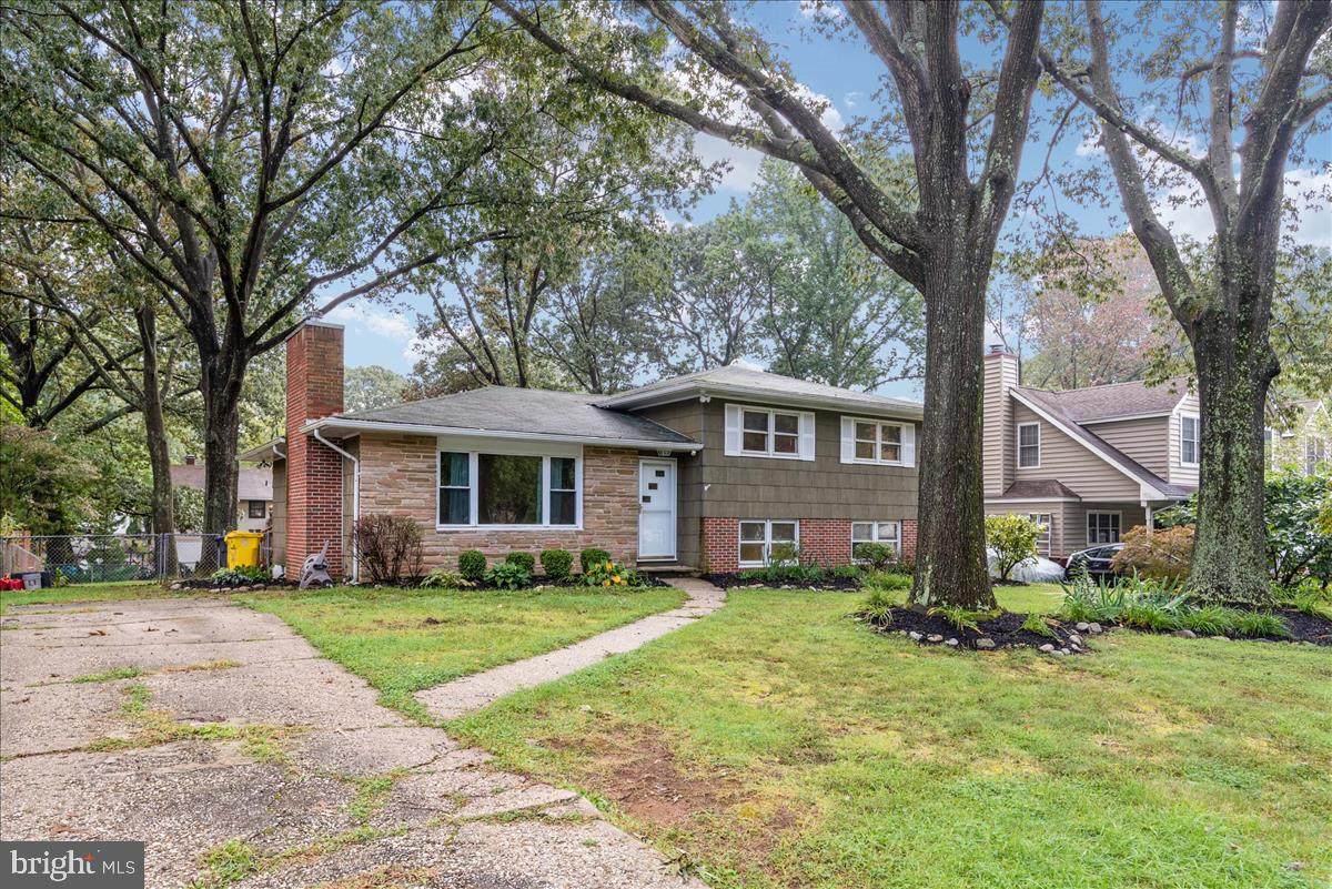 975 Dogwood Tree Drive - Photo 1