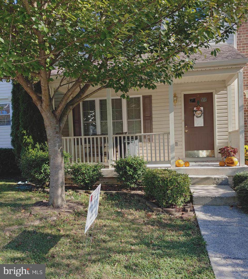 74 Mabel Lane - Photo 1