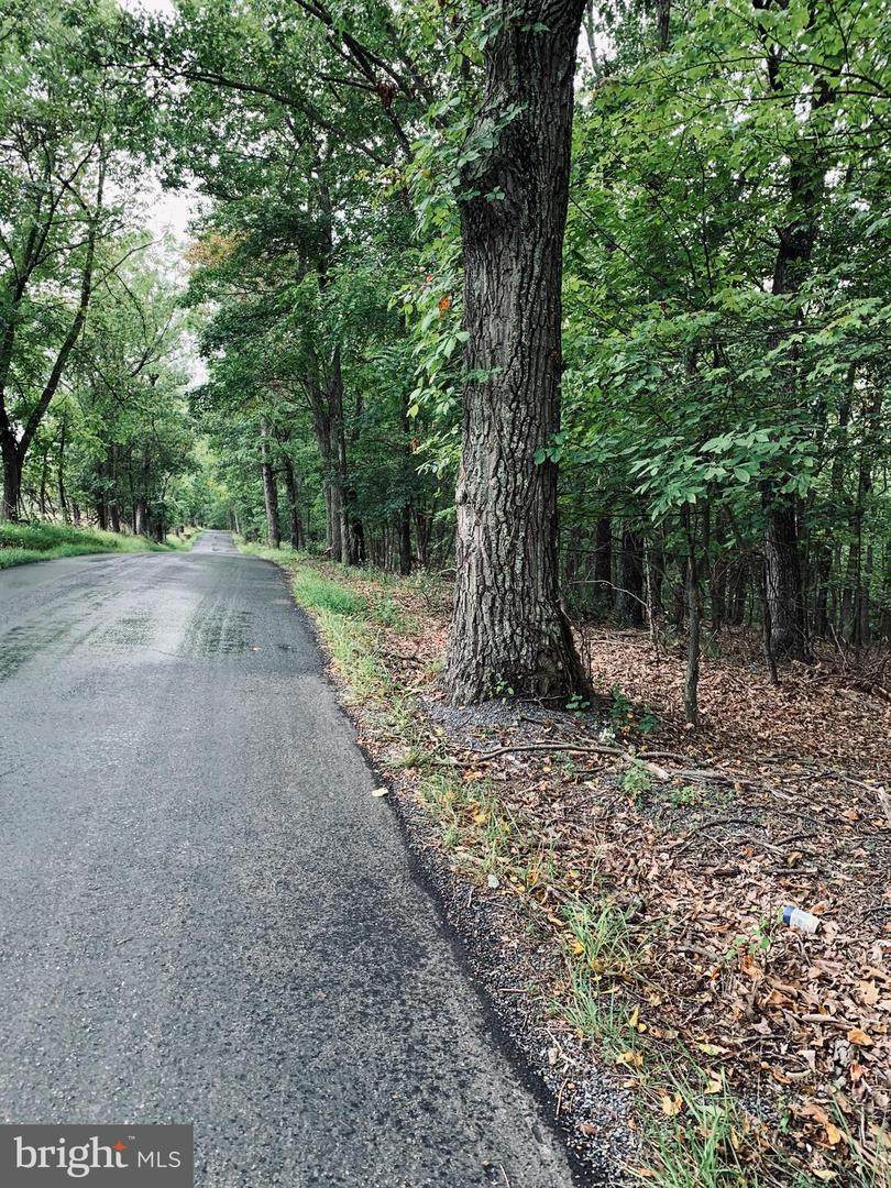 Timber Ridge Road - Photo 1