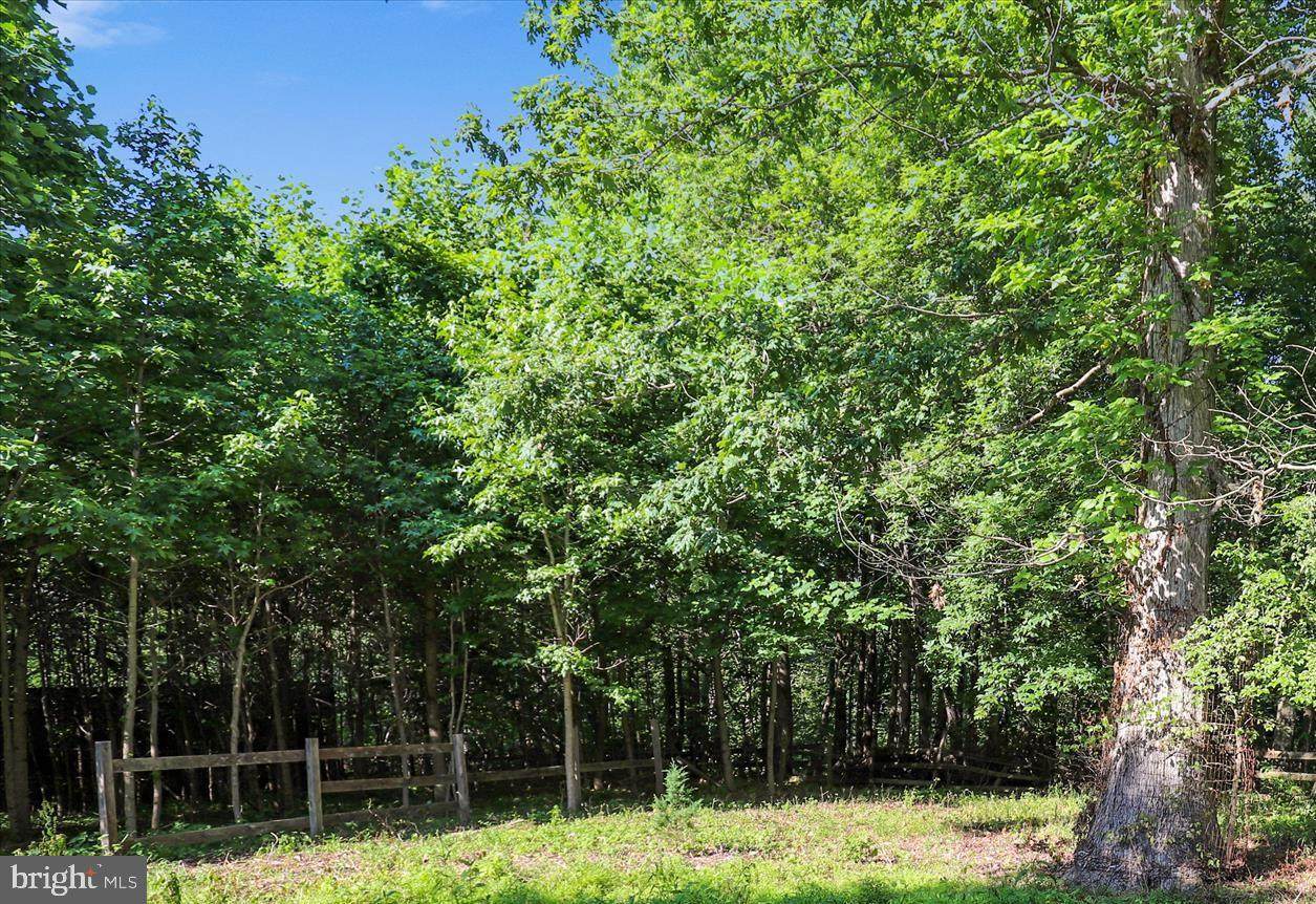 5509 Tamaie Way - Photo 1