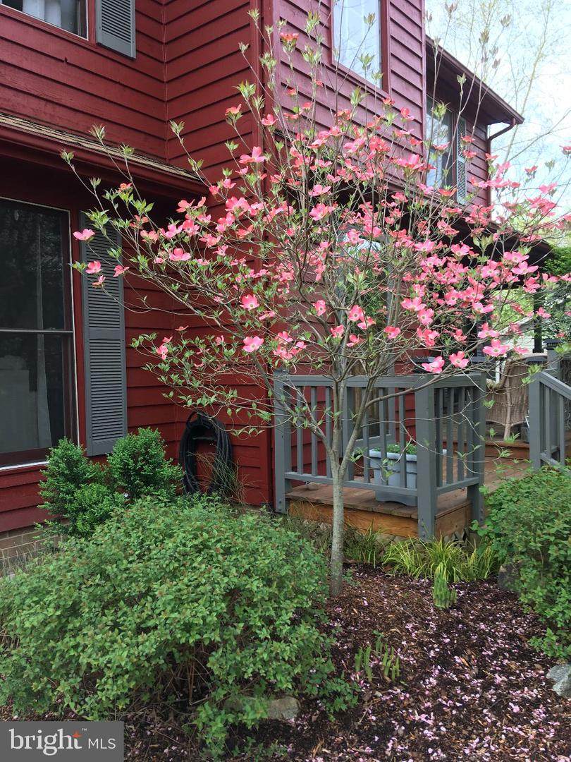 11809 Gordon Road - Photo 1