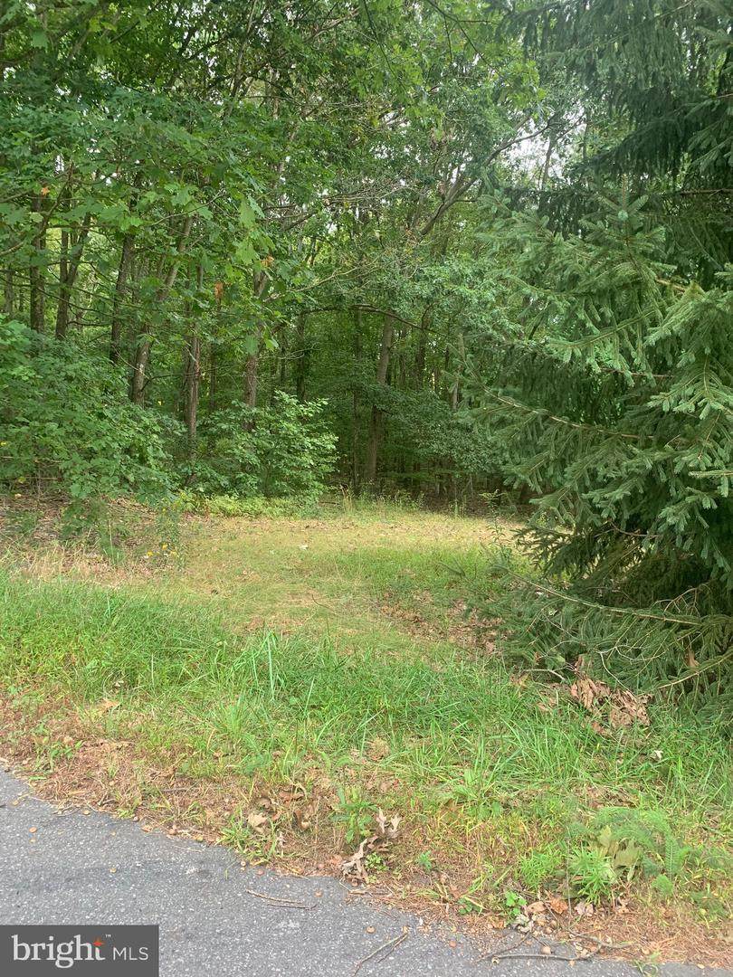 0 Germanville - Photo 1